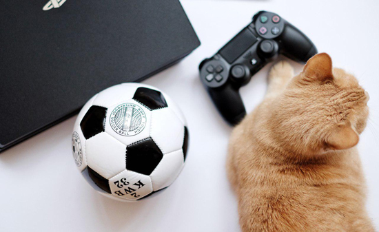 Игровая приставка Sony Playstation 4 Pro 1TB+FIFA 20